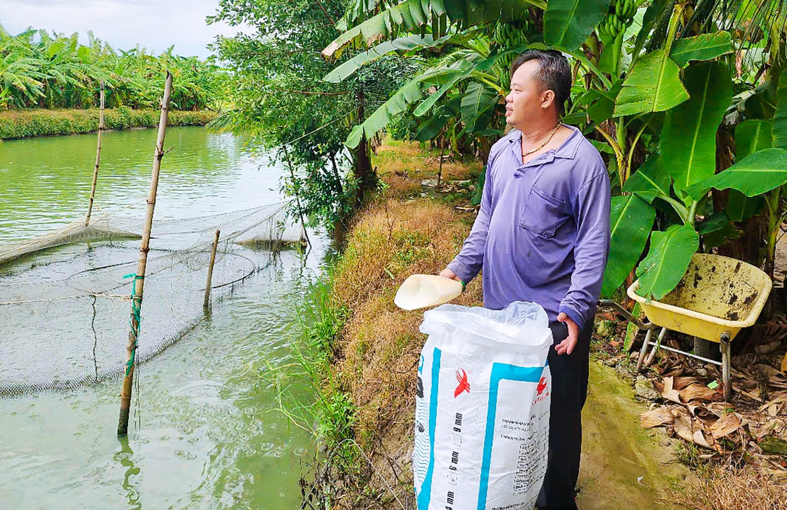 পরিখা থেকে মাঠে