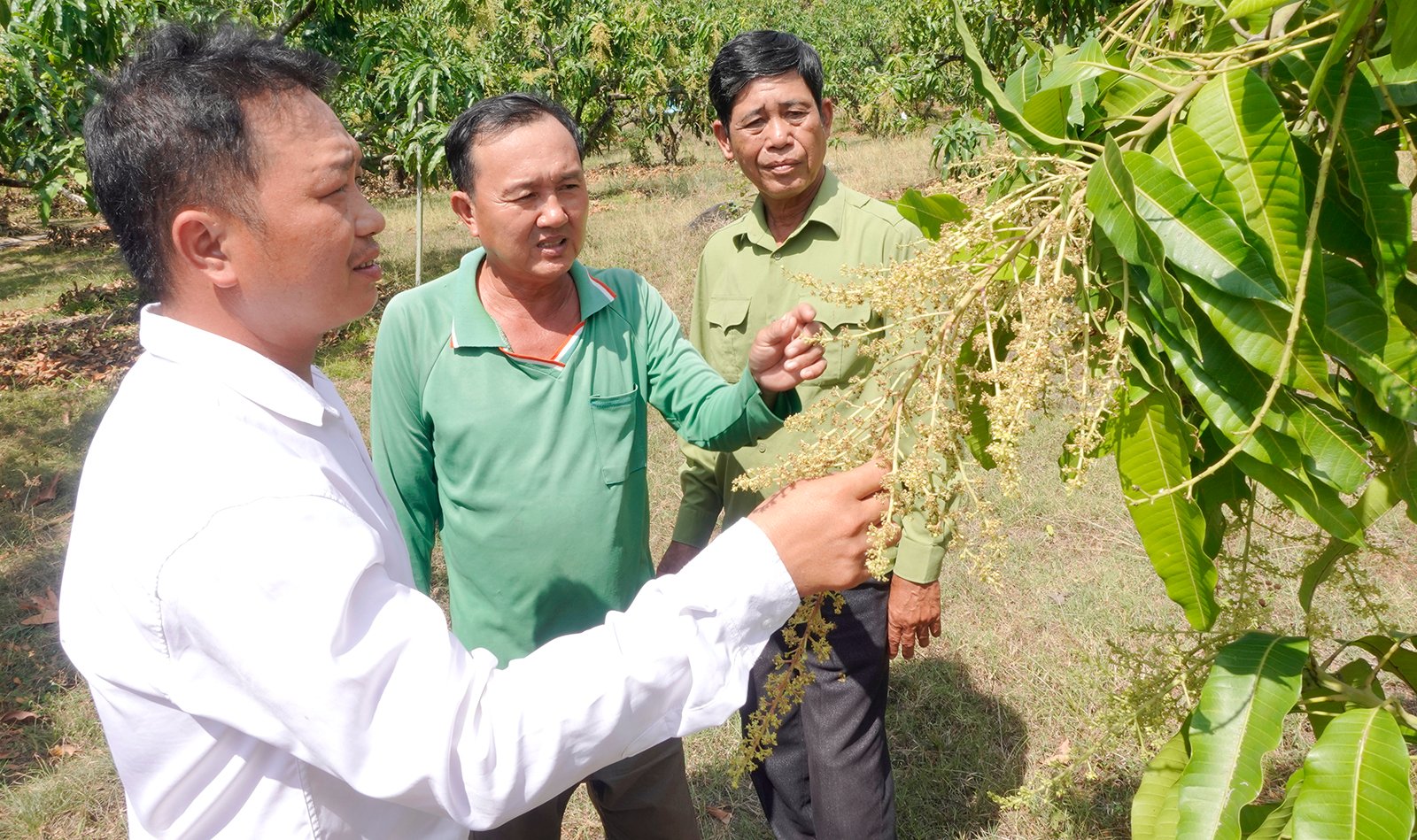 পরিখা থেকে মাঠে