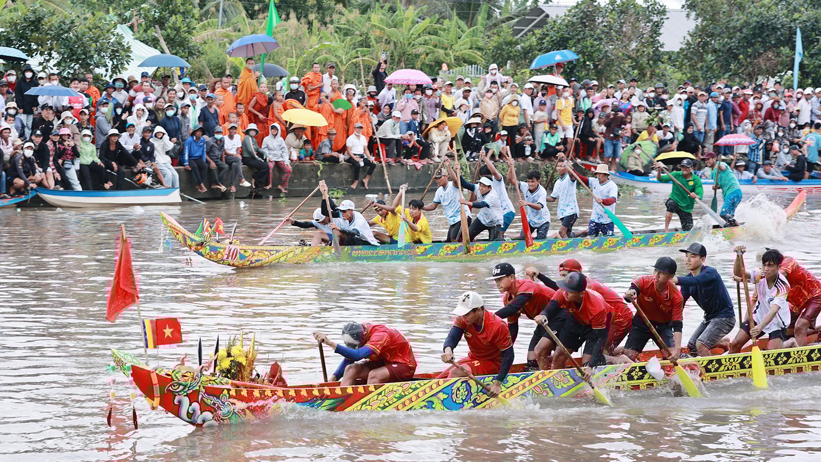 Barevný obrázek festivalu
