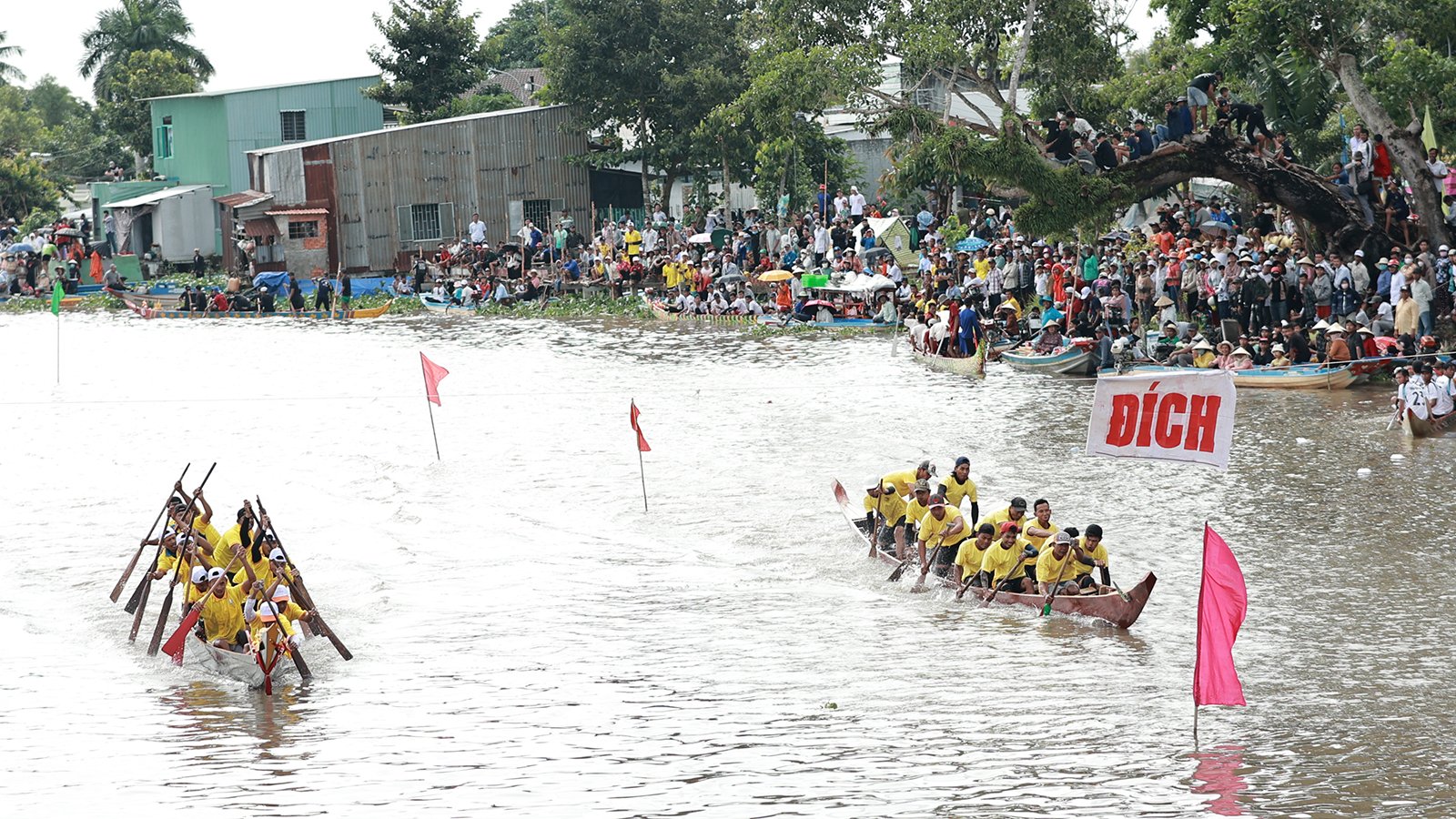 Barevný obrázek festivalu
