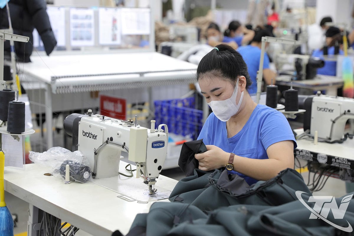 ในเวลา 5 ปี ทั้งจังหวัดได้ก่อตั้งวิสาหกิจใหม่เกือบ 6,000 แห่ง โดยมีทุนจดทะเบียนรวมกว่า 70,000 พันล้านดอง