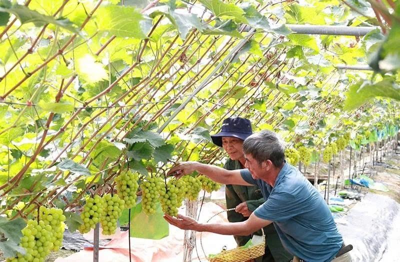 Skapa momentum för hållbar kollektiv ekonomisk utveckling
