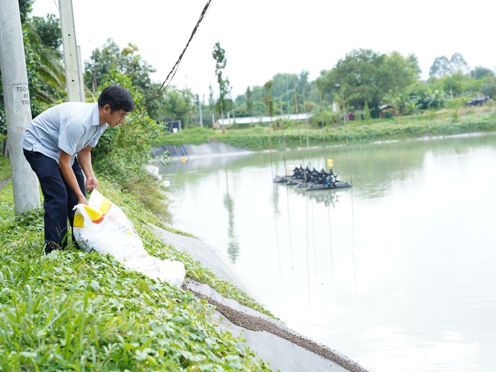លោក Vo Thanh Liem ចិញ្ចឹមត្រី