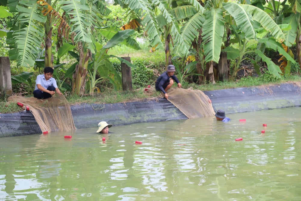 លោក លឹម ច្រូតត្រី។