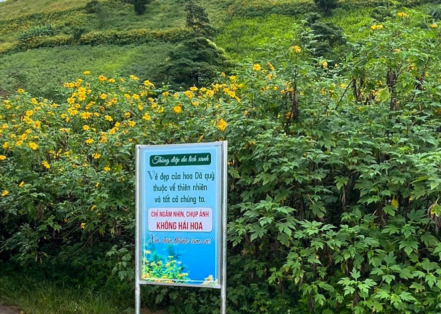 Chung tay gìn giữ vẻ đẹp mùa hoa dã quỳ – núi lửa Chư Đang Ya