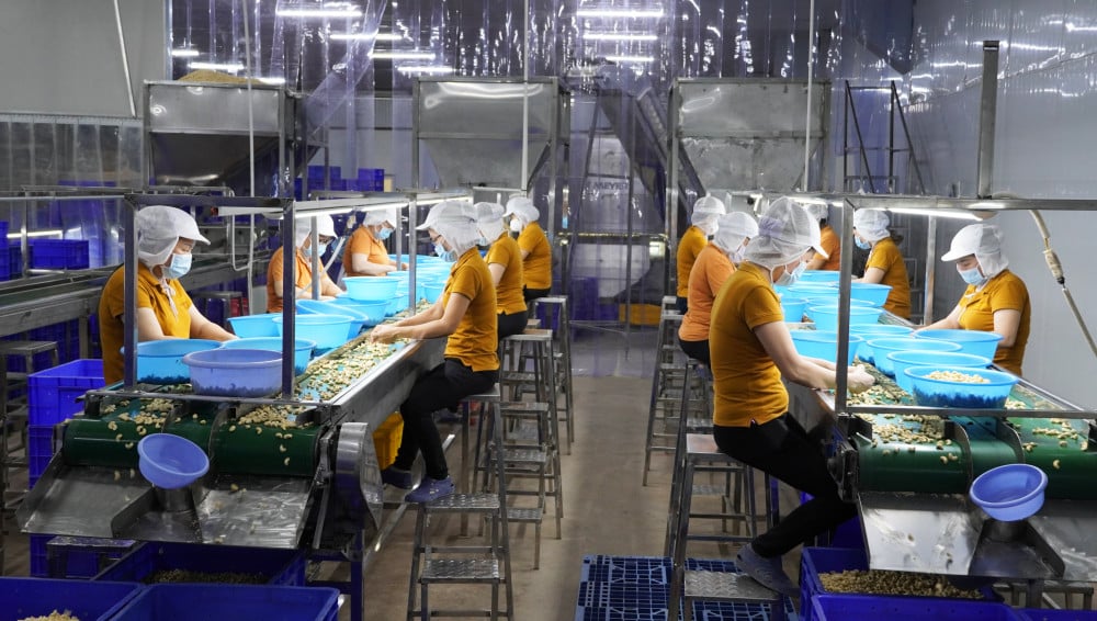 ໃຫ້ກຽດແກ່ຕົວຢ່າງທີ່ໂດດເດັ່ນ