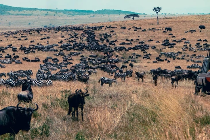 con người - Ảnh 1.