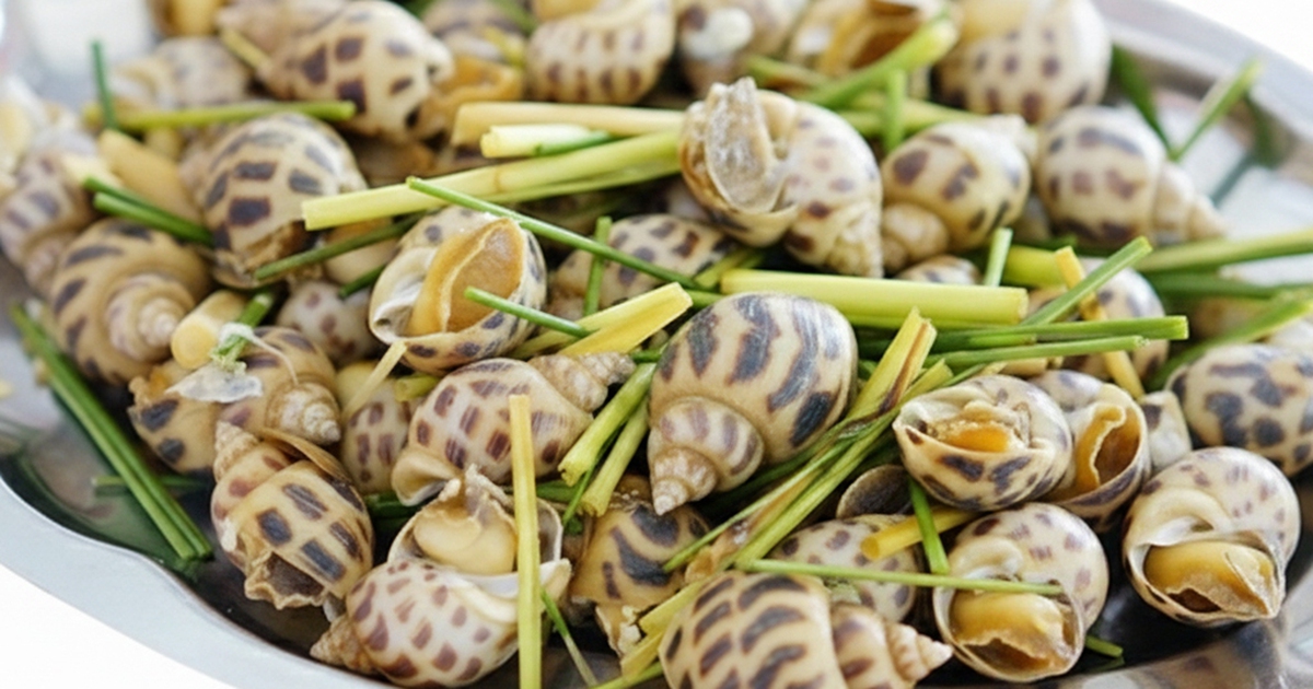Ốc hương: Giá trị dinh dưỡng và lợi ích sức khỏe