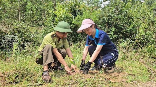 ស្នេហាបៃតង - រូបថត ២. Phủ xanh yêu thương- Ảnh 2.