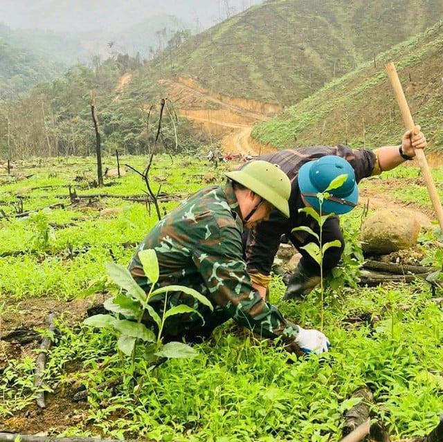 ស្នេហាបៃតង - រូបថត ៣. Phủ xanh yêu thương- Ảnh 3.