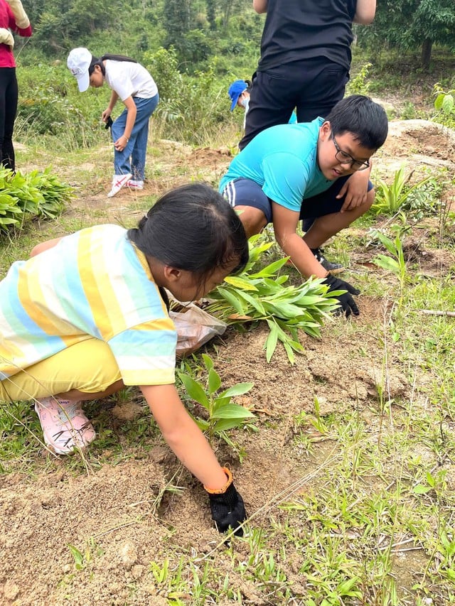 ស្នេហាបៃតង - រូបថត ៤. Phủ xanh yêu thương- Ảnh 4.