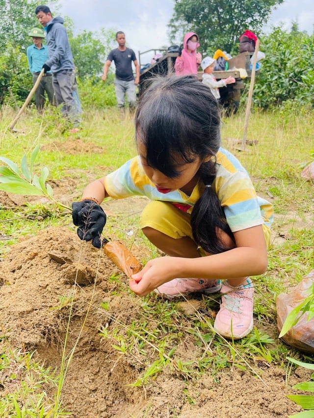 ស្នេហាបៃតង - រូបថត ៥. Phủ xanh yêu thương- Ảnh 5.