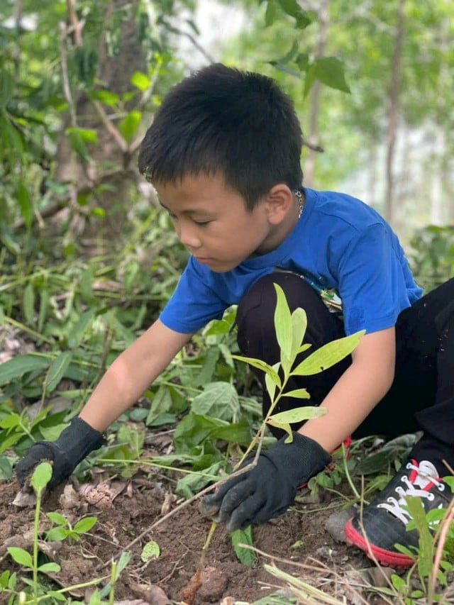 ស្នេហាបៃតង - រូបថត ៦. Phủ xanh yêu thương- Ảnh 6.