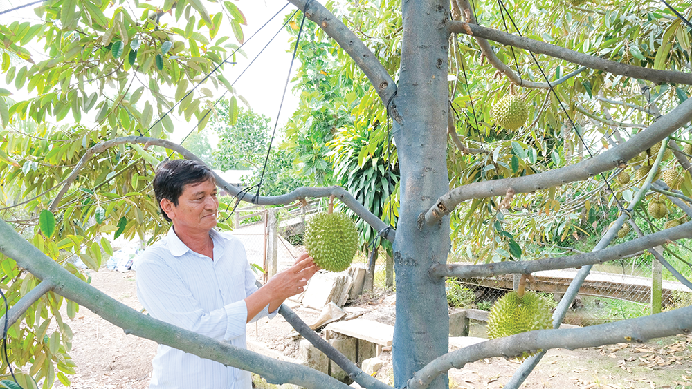 បង្កើនតម្លៃផលិតផល អភិវឌ្ឍន៍កសិកម្មនិរន្តរភាព