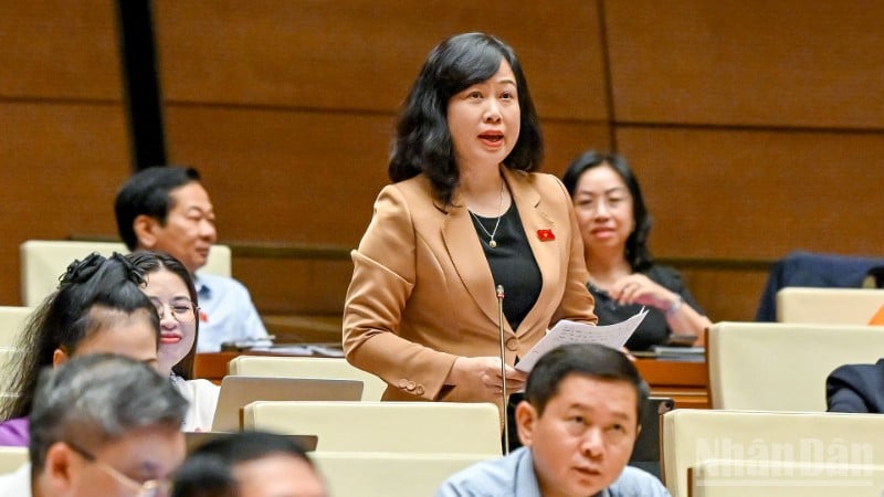 Minister van Volksgezondheid Dao Hong Lan gaf tijdens de discussiesessie een toelichting op de standpunten van de afgevaardigden van de Nationale Assemblee. (Foto: THUY NGUYEN)