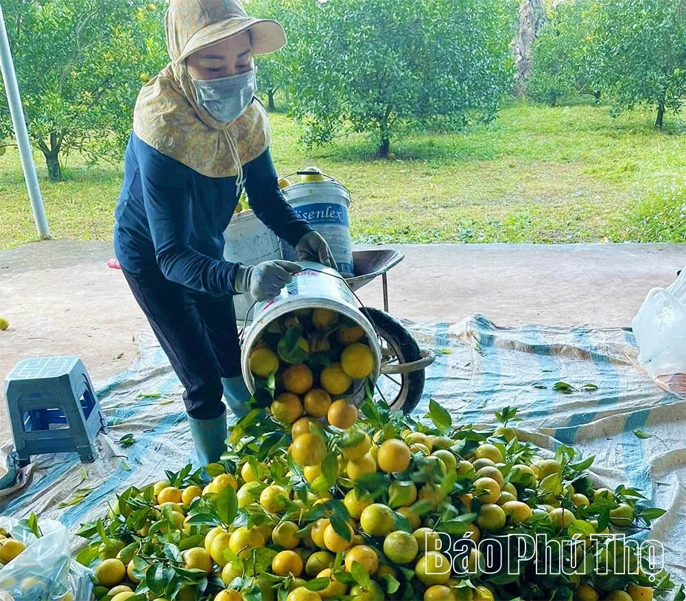 Подтверждение ключевой роли инвестиций в развитие «сельского хозяйства и сельских территорий»