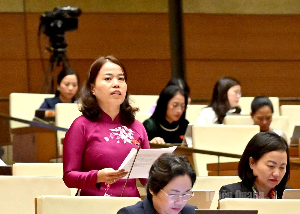 لی تی لان، رئیس هیئت نمایندگی مجلس ملی استان، در این بحث سخنرانی کرد.