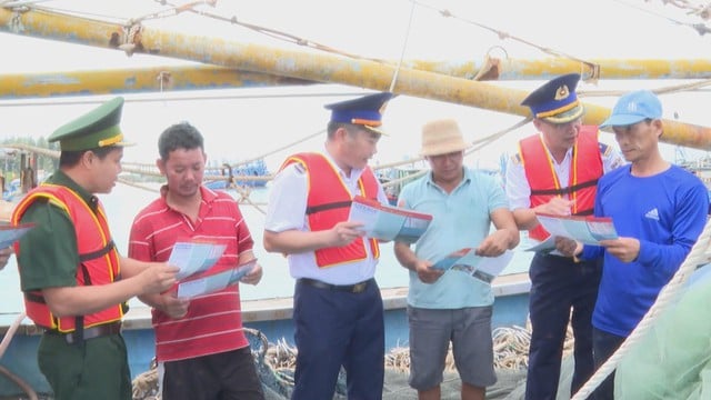 Cảnh sát biển Vùng 3 phát động cao điểm chống khai thác hải sản IUU - Ảnh 5.