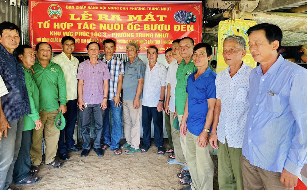 ដំណោះស្រាយជាច្រើនដើម្បីគាំទ្រសមាជិកកសិករឱ្យប្រសើរឡើងនូវជីវិតរបស់ពួកគេ។