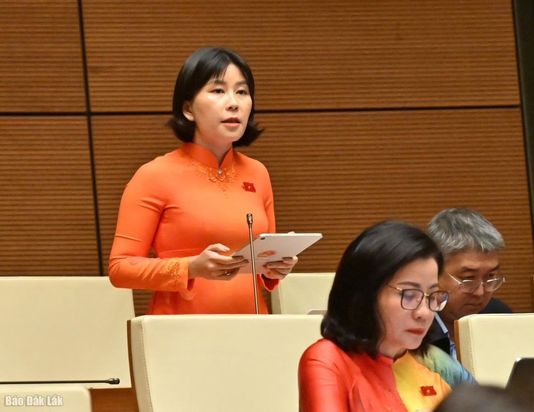Le Dao An Xuan, plaatsvervangend hoofd van de delegatie van de Provinciale Nationale Assemblee, sprak tijdens de discussie. (Foto: Delegatie van de Provinciale Nationale Assemblee)
