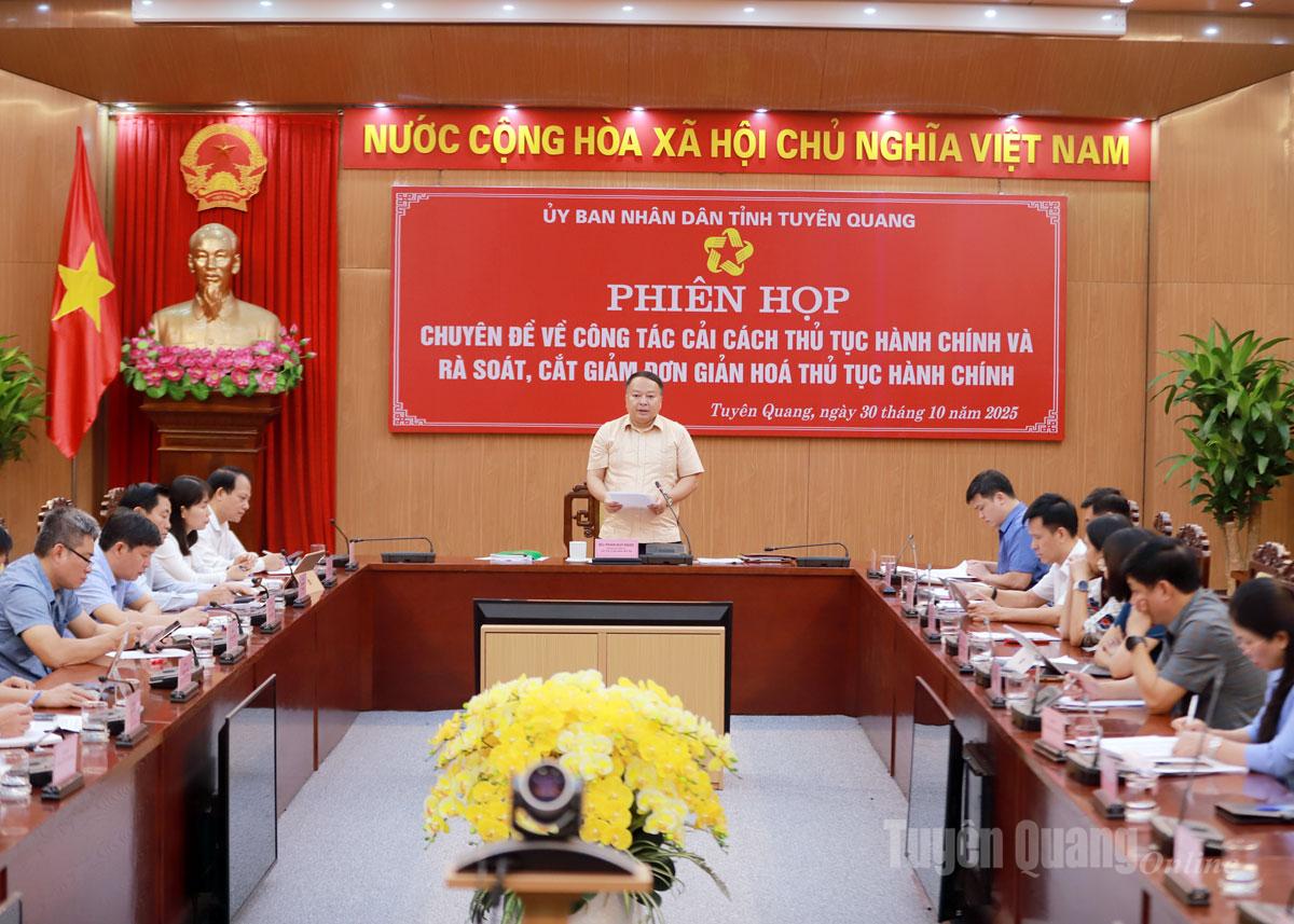 Ordföranden för provinsens folkkommitté, Phan Huy Ngoc, ledde mötet.