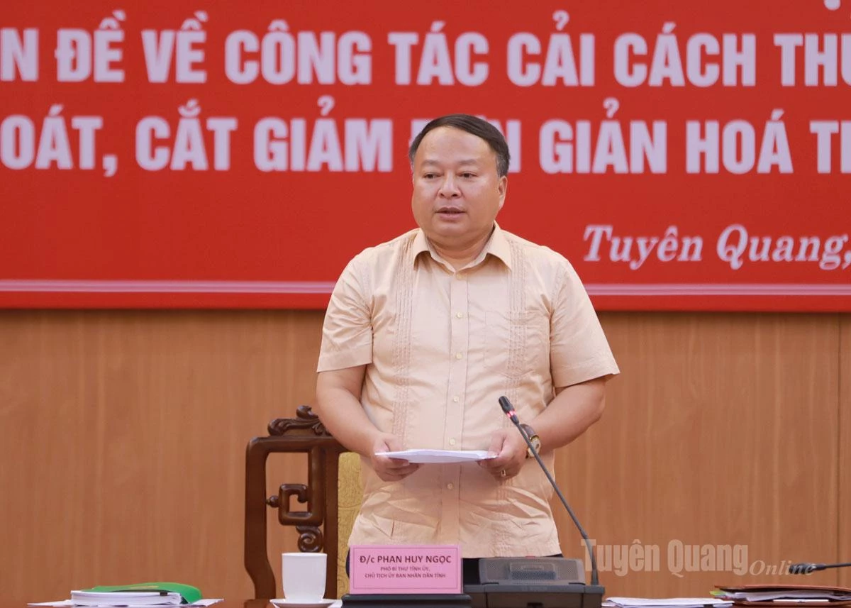 Kamrat Phan Huy Ngoc, ordförande för provinsens folkkommitté, höll ett avslutande tal vid mötet.