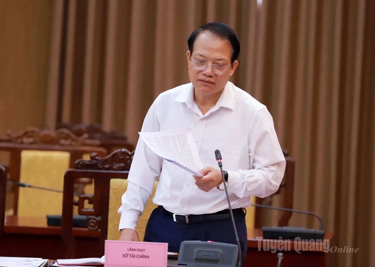 Finansavdelningens chef, Van Dinh Thao, rapporterade resultaten av genomförandet av minskningen av administrativa förfaranden inom ekonomi och planering.