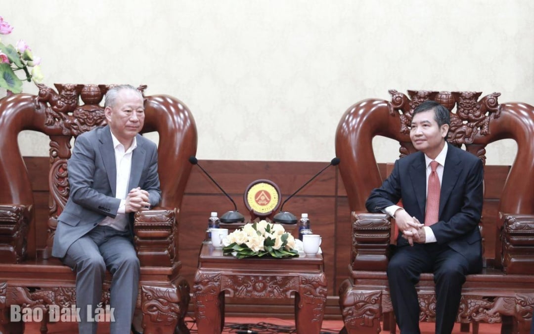 Wakil Sekretaris Komite Partai Provinsi, Ketua Komite Rakyat Provinsi Ta Anh Tuan memberikan informasi umum kepada delegasi kerja Kelompok Konstruksi Pasifik tentang situasi sosial ekonomi dan potensi serta keuntungan provinsi tersebut.