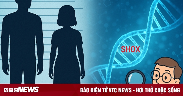 Hé lộ mã gen có thể là nguyên nhân khiến đàn ông cao hơn phụ nữ