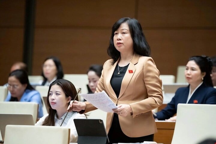 Ministrul Sănătății, Dao Hong Lan, a vorbit pentru a-și explica opinia.