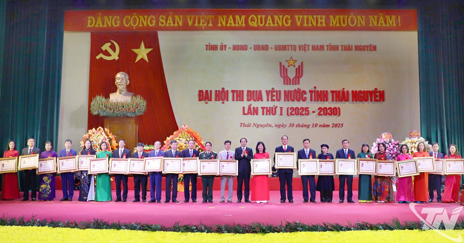 សមមិត្ត Trinh Xuan Truong លេខាបក្សខេត្ត ប្រគល់មេដាយការងារជូនបុគ្គល។