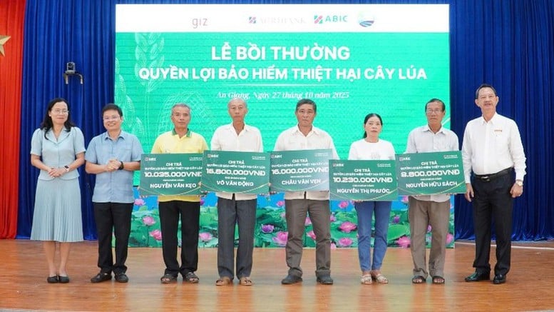 Insurans tanaman padi: 'perisai' kewangan untuk rantaian pengeluaran dan penggunaan beras - Foto 1. Bảo hiểm cây lúa: ‘Lá chắn’tài chính cho chuỗi sản xuất – tiêu thụ lúa gạo- Ảnh 1.