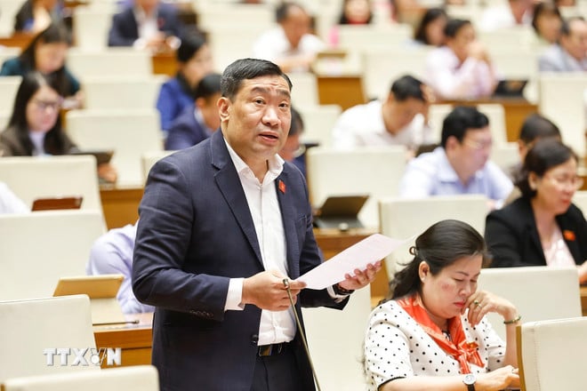 ttxvn-representative-thach-phuoc-binh.jpg