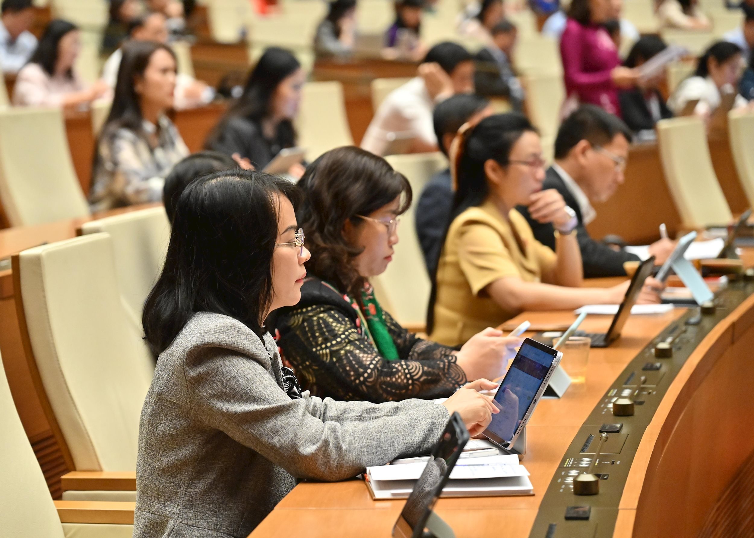 اجلاس میں مندوبین