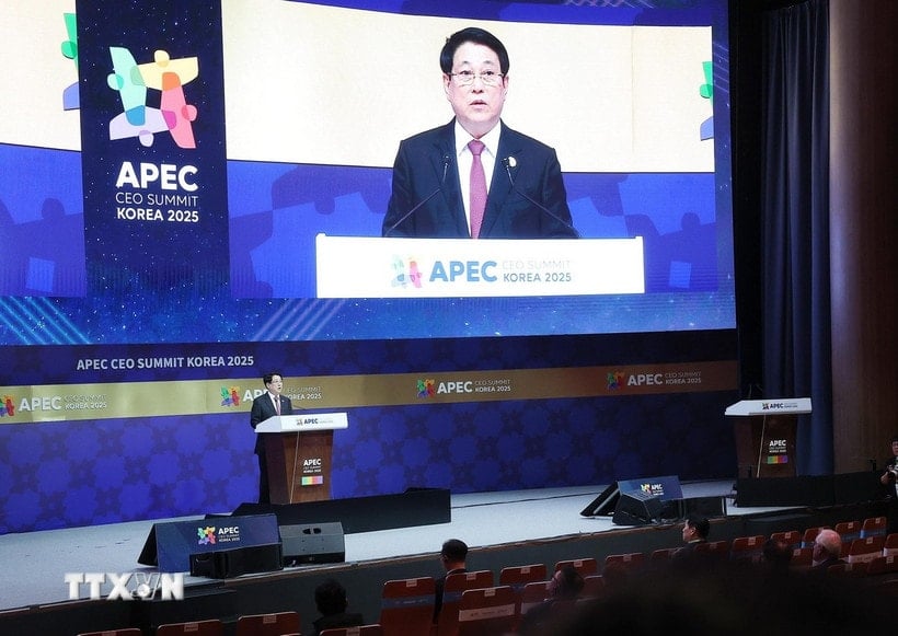 ប្រធានរដ្ឋ Luong Cuong ថ្លែងមតិនៅកិច្ចប្រជុំ CEO APEC 2025។ (រូបថត៖ Lam Khanh/VNA)