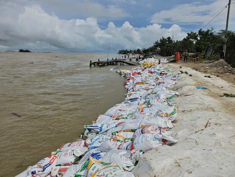 Hàng nghìn người 'vá kè' chống lũ lịch sử, cứu làng ở hạ lưu sông Thu Bồn- Ảnh 9. Hàng nghìn người 'vá kè' chống lũ lịch sử, cứu làng ở hạ lưu sông Thu Bồn- Ảnh 9.