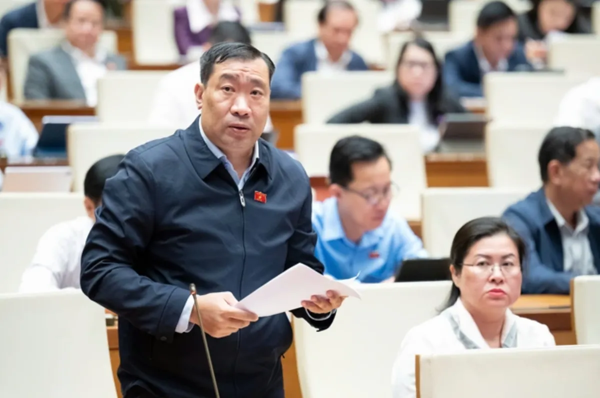 Delegater från nationalförsamlingen ger idéer för att mobilisera 500 ton guld från folket - Foto 1.