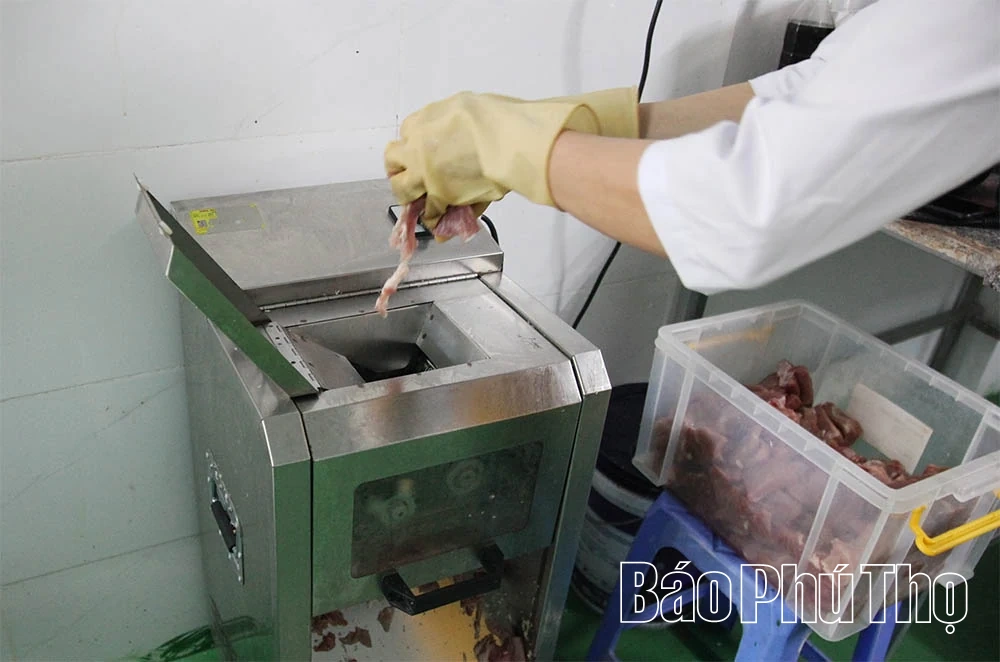 ការកសាងម៉ាកយីហោ OCOP នៃផលិតផលសាច់ជូរ Friend Foods