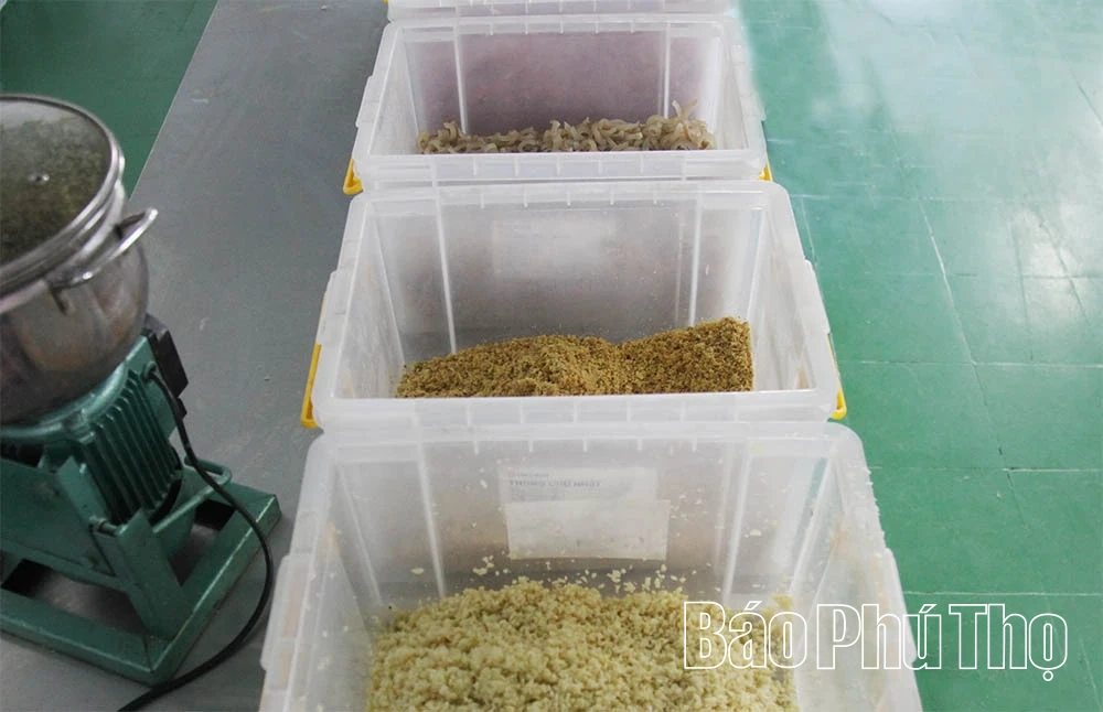 ការកសាងម៉ាកយីហោ OCOP នៃផលិតផលសាច់ជូរ Friend Foods