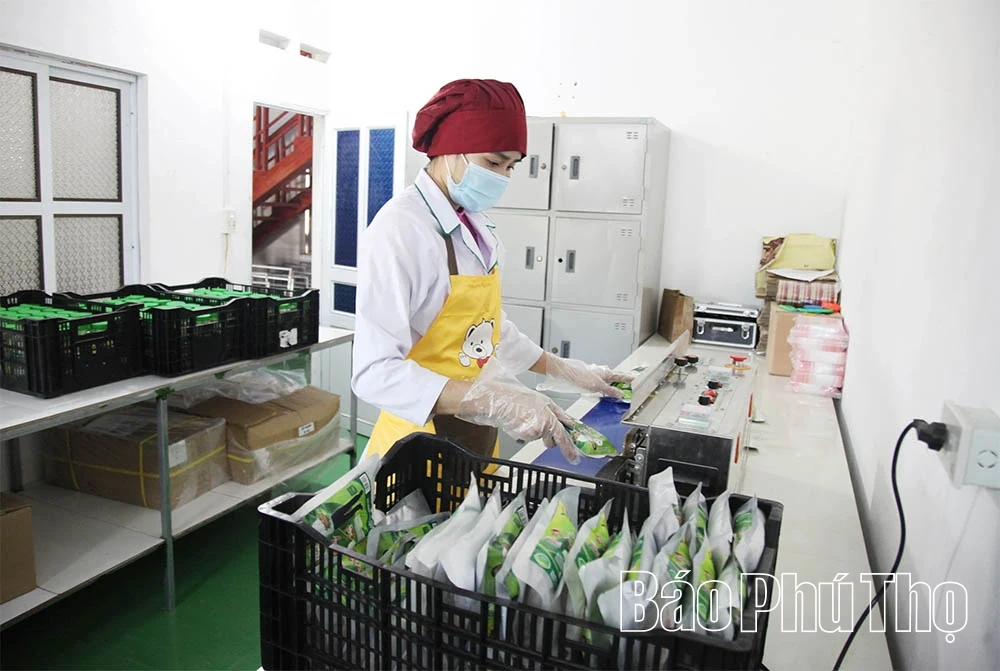 ការកសាងម៉ាកយីហោ OCOP នៃផលិតផលសាច់ជូរ Friend Foods