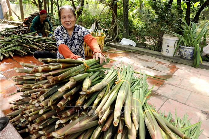 ছবির ক্যাপশন