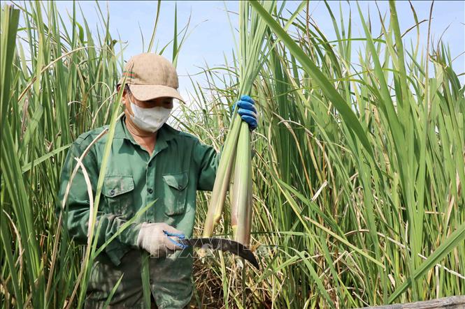 ছবির ক্যাপশন