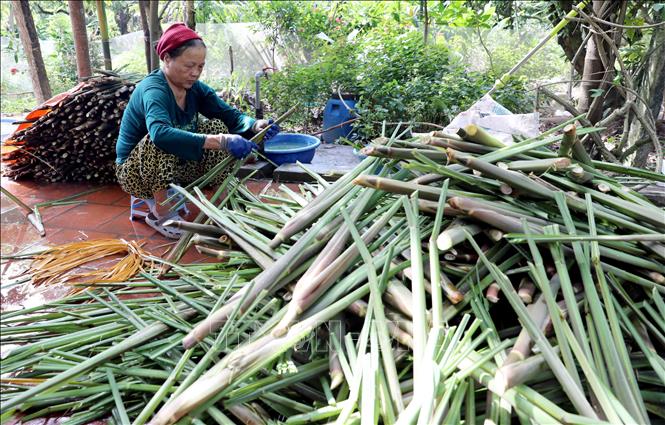 ছবির ক্যাপশন