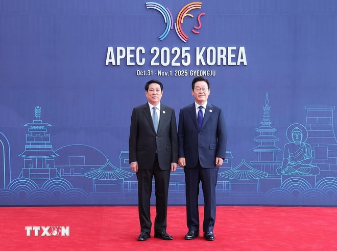 দক্ষিণ কোরিয়ার প্রেসিডেন্ট লি জায়ে মিউং প্রেসিডেন্ট লুং কুওংকে স্বাগত জানিয়েছেন। (ছবি: লাম খান/ভিএনএ) ttxvn-chu-tich-nuoc-luong-cuong-du-hoi-nghi-cap-cao-apec-2-resize.jpg