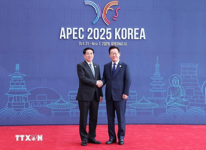 দক্ষিণ কোরিয়ার প্রেসিডেন্ট লি জায়ে মিউং প্রেসিডেন্ট লুং কুওংকে স্বাগত জানিয়েছেন। (ছবি: লাম খান/ভিএনএ) ttxvn-chu-tich-nuoc-luong-cuong-du-hoi-nghi-cap-cao-apec-3-resize.jpg