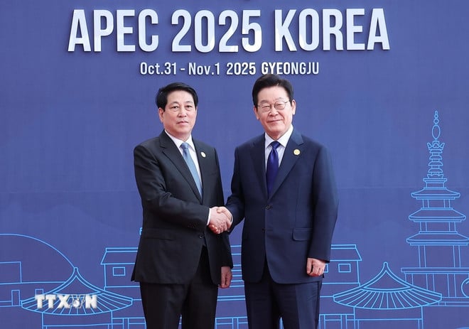 দক্ষিণ কোরিয়ার প্রেসিডেন্ট লি জায়ে মিউং প্রেসিডেন্ট লুং কুওংকে স্বাগত জানিয়েছেন। (ছবি: লাম খান/ভিএনএ) ttxvn-chu-tich-nuoc-luong-cuong-du-hoi-nghi-cap-cao-apec-4-resize.jpg