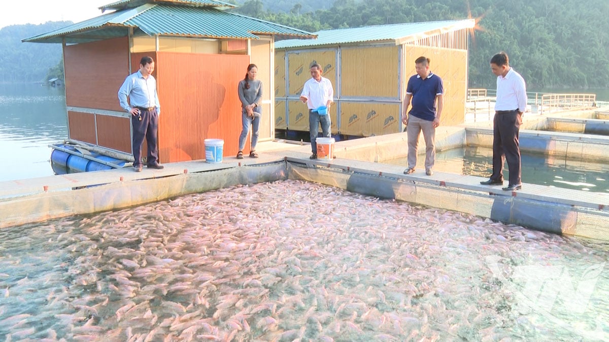 Modell för fiskodling