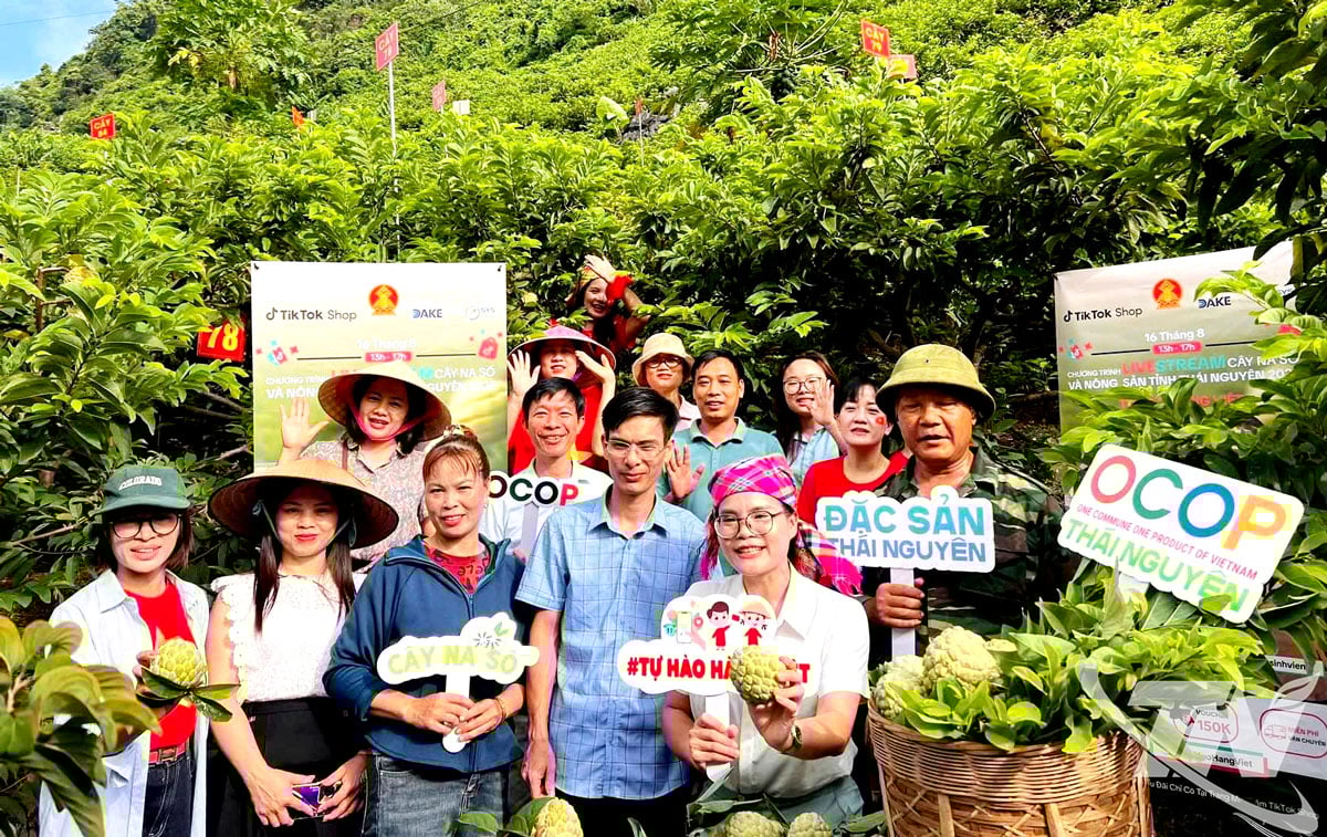 វគ្គផ្សាយផ្ទាល់