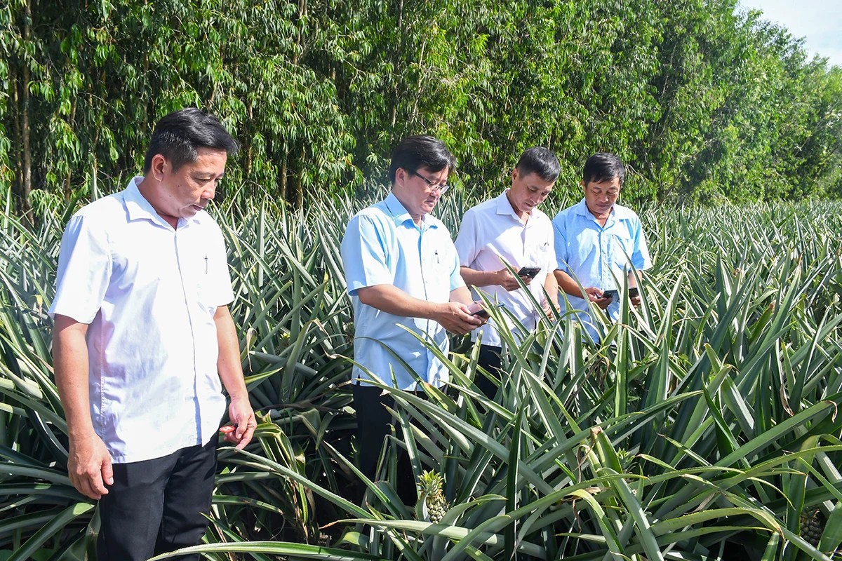 Bønder forvandles med digital teknologi