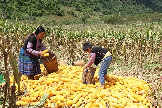 Kapitaal de berg op dragen